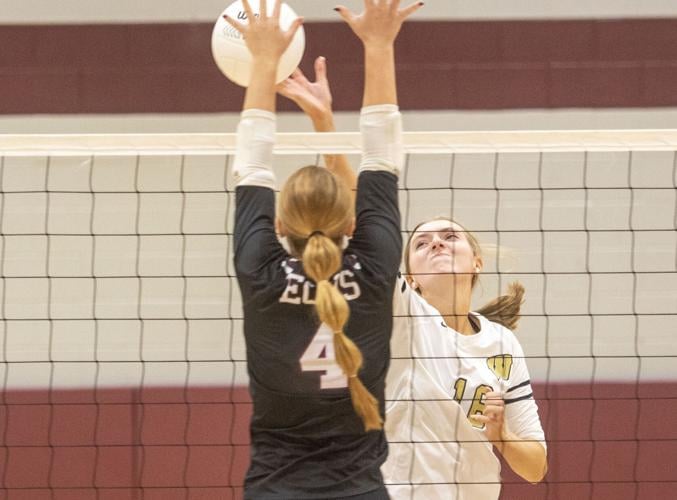 120325-volleyball all-stars (Jillian Hand).jpg