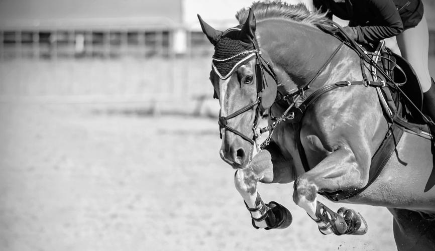 A sorrel beautiful horse with a rider in the saddle jumps high at a show jumping competition on a Sunny day.