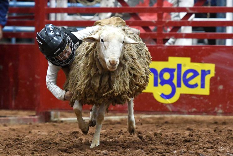 Lake Martin Rodeo