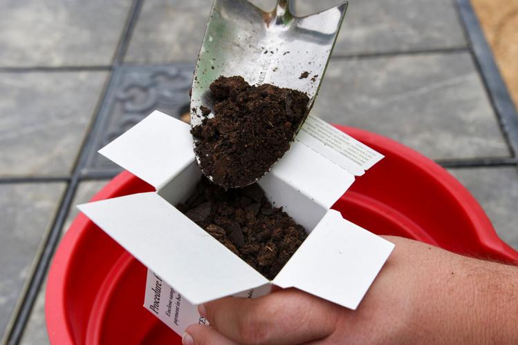 Best way to spend $10 in your garden