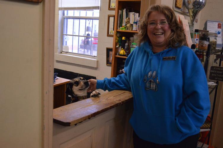 Law enforcement report few cold-related animal calls while residents take action online