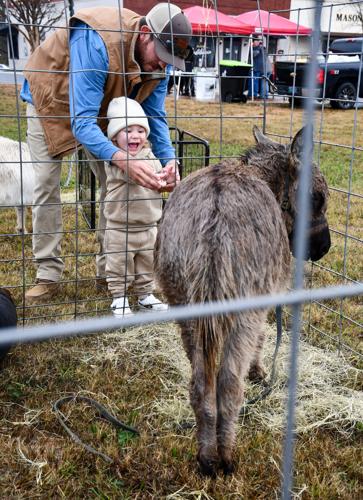 121025 downtown christmas12.jpg