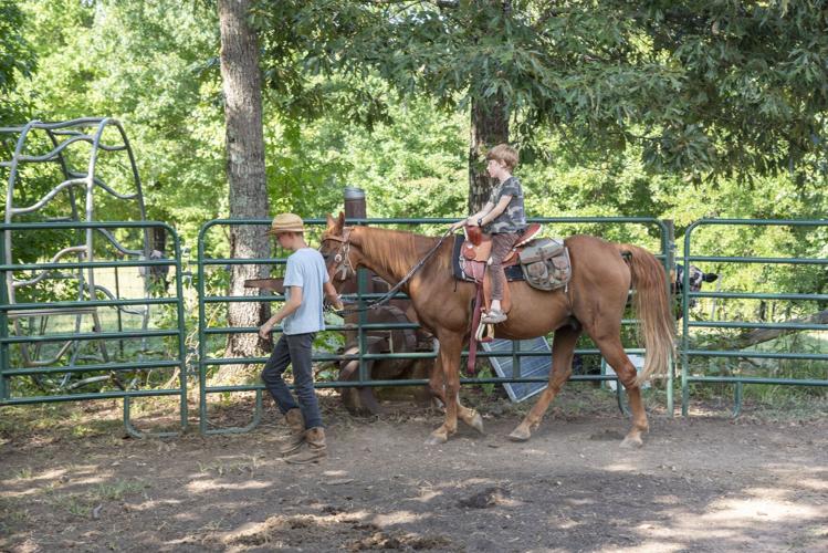 Noah Sander's Garden