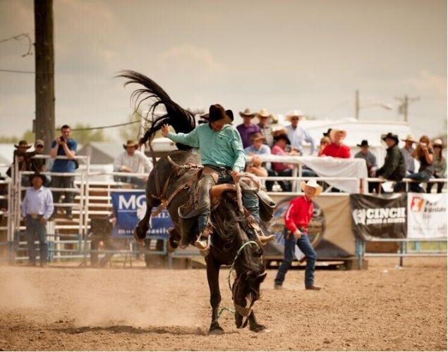 World Famous Miles City Bucking Horse Sale, credit Montana Department of Commerce, visitmt.com