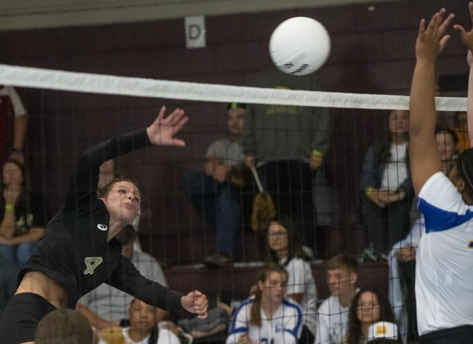 PHOTOS: Elmore County volleyball hosts block party