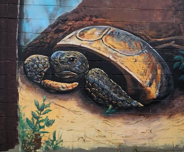 Local artist completes mural in Montgomery
