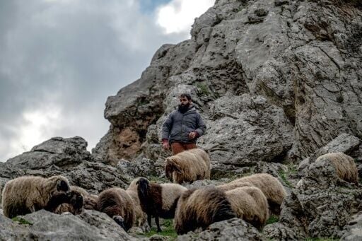 Herders have been grazing their flocks in the Zagros Mountains between Iraqi Kurdistan and Iran through one conflict after another