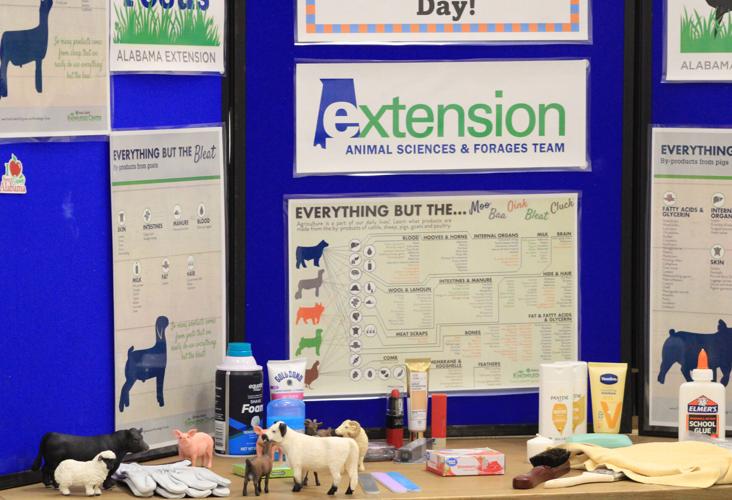 RES kindergartens visit local veterinarian practice