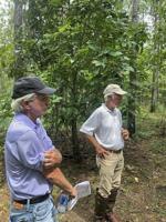 The Making of a World-class Golf Course