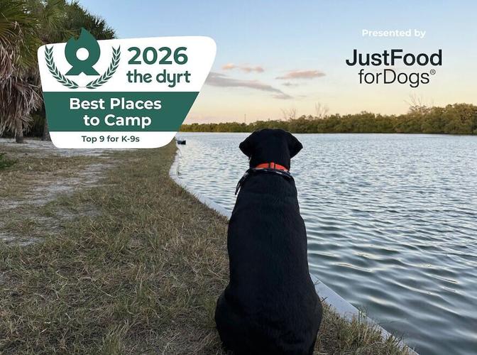 The Dyrt's Top 9 for K-9s: 2026 Best Places to Camp with Dogs