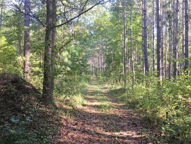 Cherokee Bluffs Dam Railroad Trail
