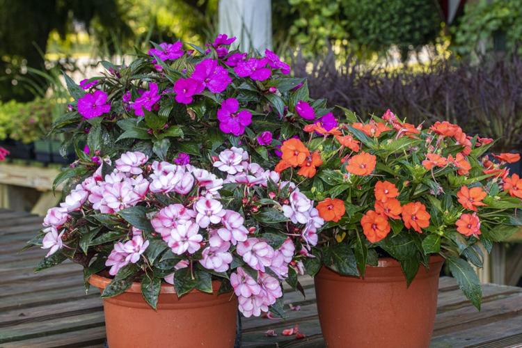 Cue the colorful containers