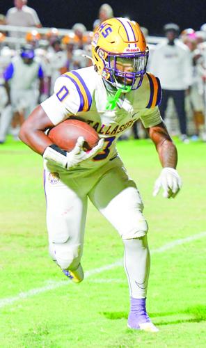 Tallassee Elmore County 05 CMYK.jpg