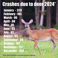 It’s that time of year to watch for deer