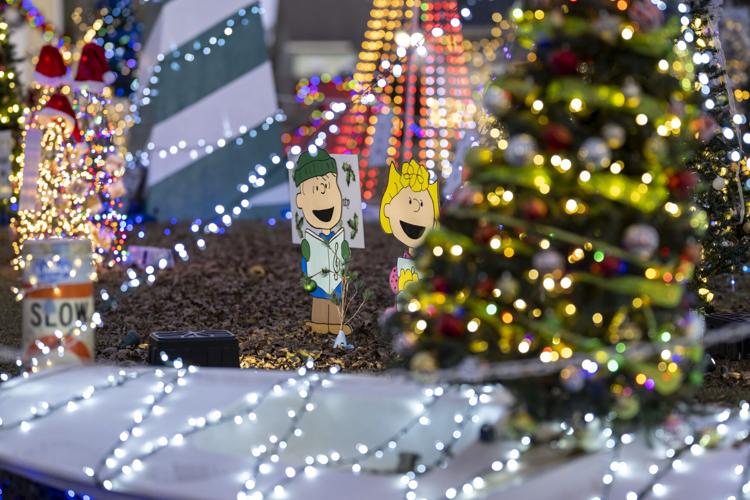 Christmas at Pennington Park