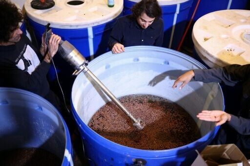 With the help of large handheld food mixers, they carefully grind the mixture of Californian grapes and water