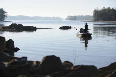 Find fish in the spawn