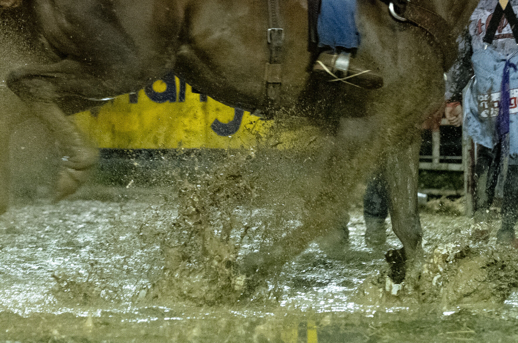 PHOTOS: Benjamin Russell FFA Alumni Rodeo