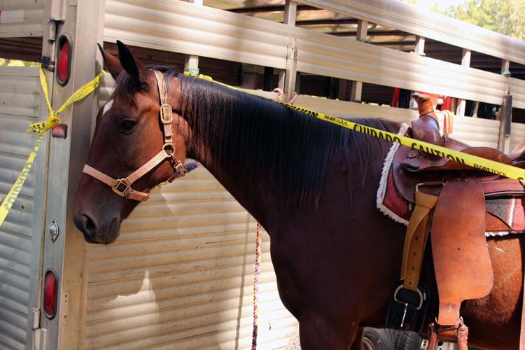 PHOTOS: Oktoberfest kicks off in Alexander City