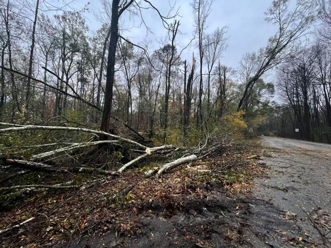 Storm causes damage across Elmore County