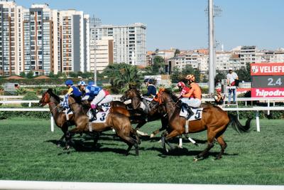 Backing the Underdog: Why Longshots Matter in Major Horse Races