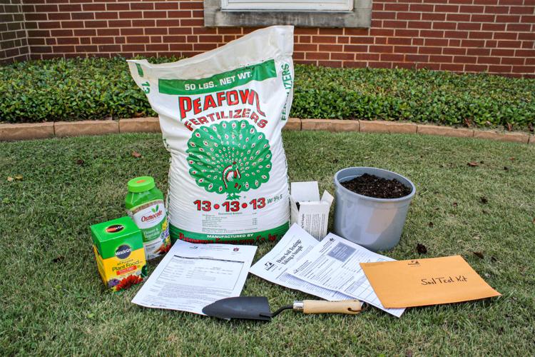 Best way to spend $10 in your garden