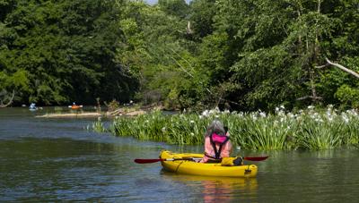 River Fest likely to restart next year