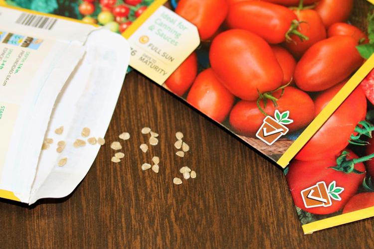 Starting Veggie Seeds