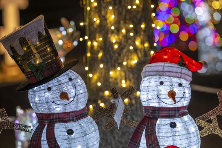 Christmas at Pennington Park