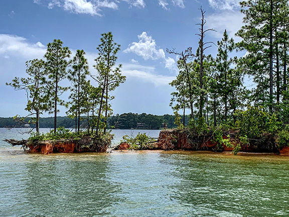 What's Reshaping Lake Martin