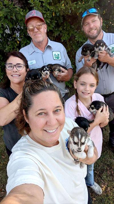 Dog, puppies rescued from downtown Eclectic