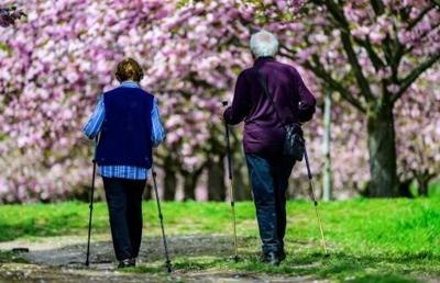 Experts say it is crucial for more older people to stay in work longer in Germany to ease the strain on the pension system