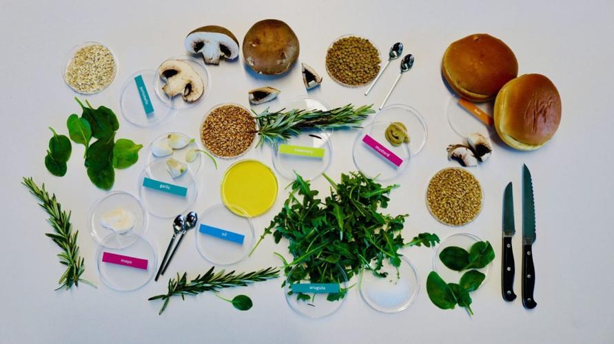 Perfect burger for taste, health, and saving the planet created using AI