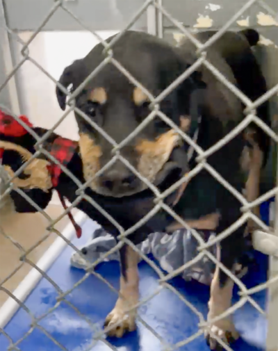 010326 Mia donation to LMHS.png