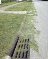Lawn clippings in road can cause issues