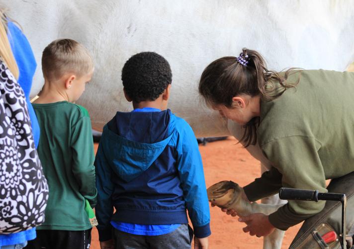 RES kindergartens visit local veterinarian practice