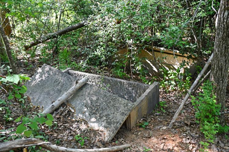 PHOTOS: Dozens of old Youngsville graves lie in the woods of the Russell Mills estate