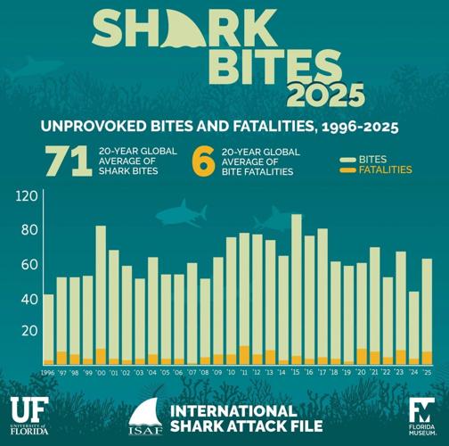 Fatal shark attacks more than doubled in 2025, reveals report