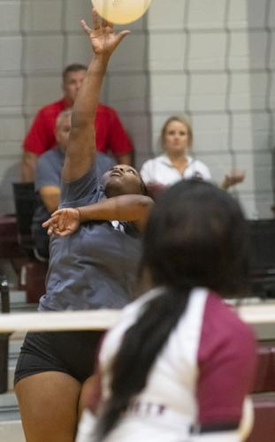 PHOTOS: Elmore County volleyball hosts block party