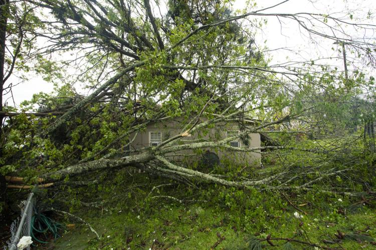 PHOTOS: Storm damage at Castaway Island on Lake Martin