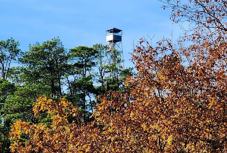 Fire tower over fall trees.jpg