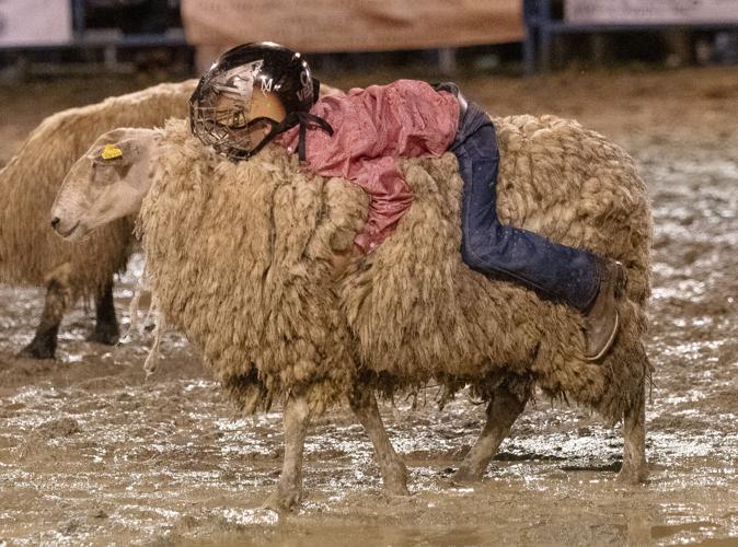 PHOTOS: Benjamin Russell FFA Alumni Rodeo
