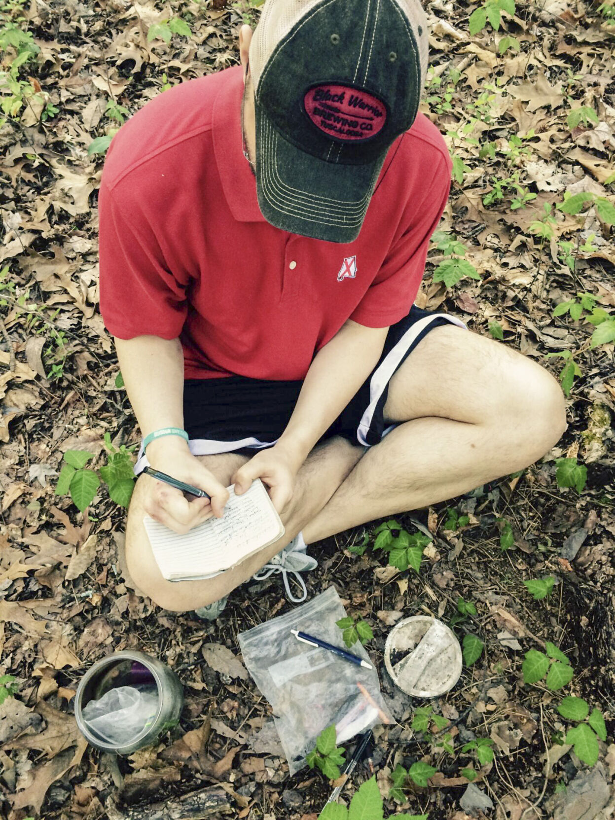 Search for Hidden Treasure