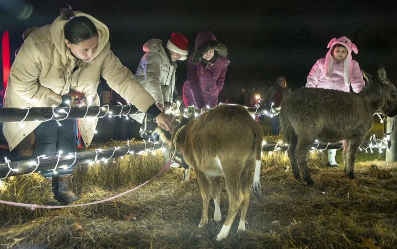 Millbrook Tree Lighting