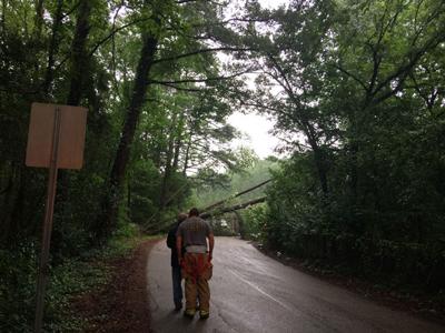 Wetumpka Fire responds to trees down across Green Street