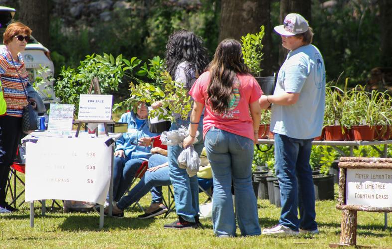 PHOTOS: Plants in the Park