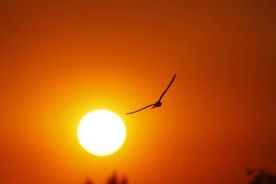 Hottest Septembers in Alabama since 1895