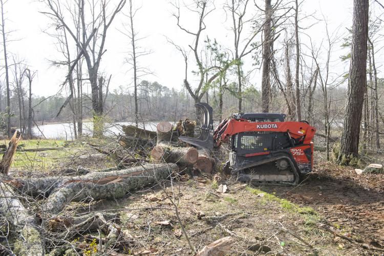 PHOTOS: Tornado damage and cleanup in Tallapoosa County