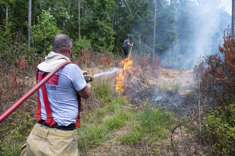 PHOTOS: Brush fire between Riverchase Drive and Sturdivant Road