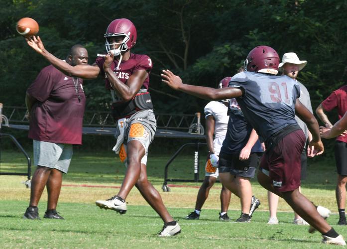 Light-years ahead: Expectations astronomical for Wildcat football